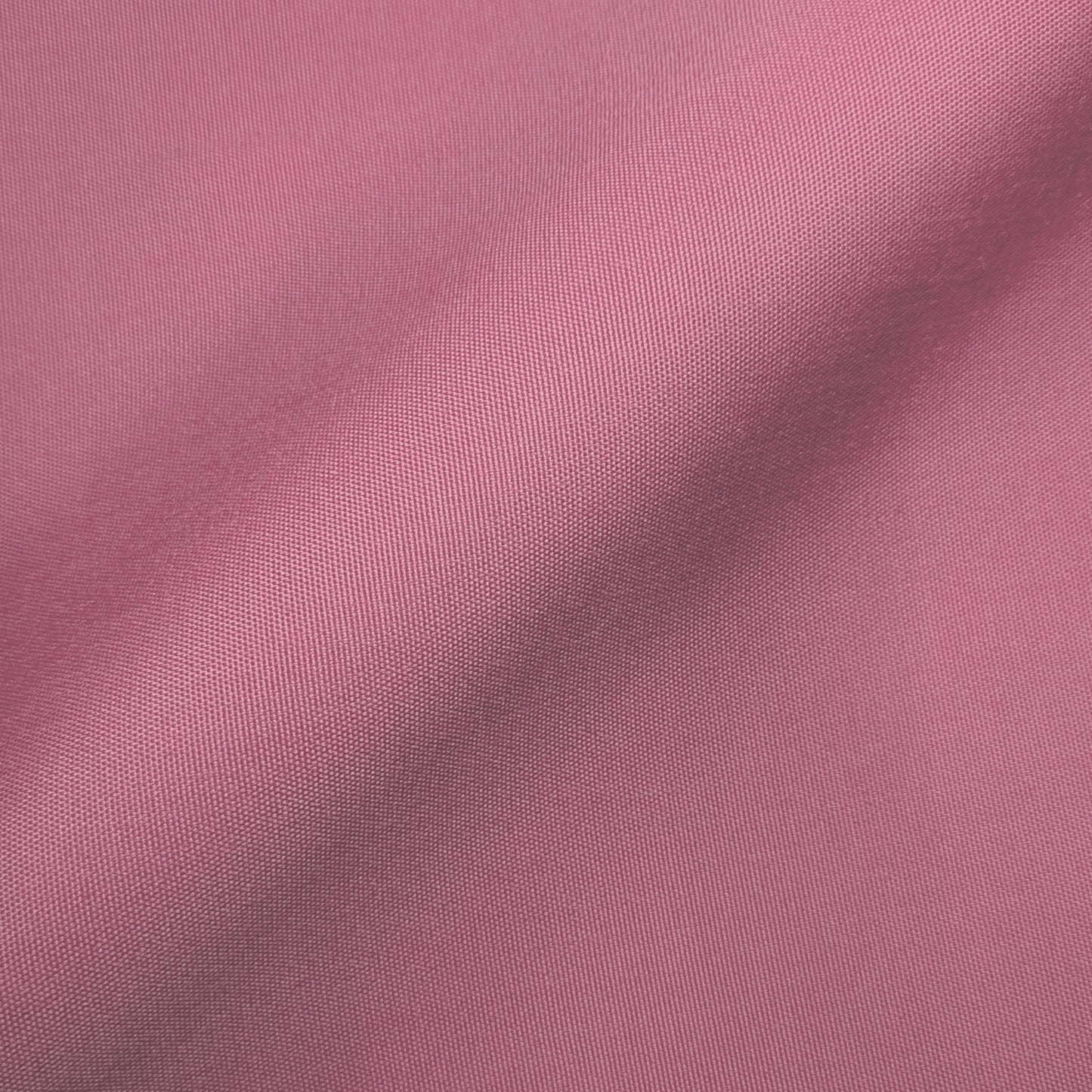 Tex-Rosa