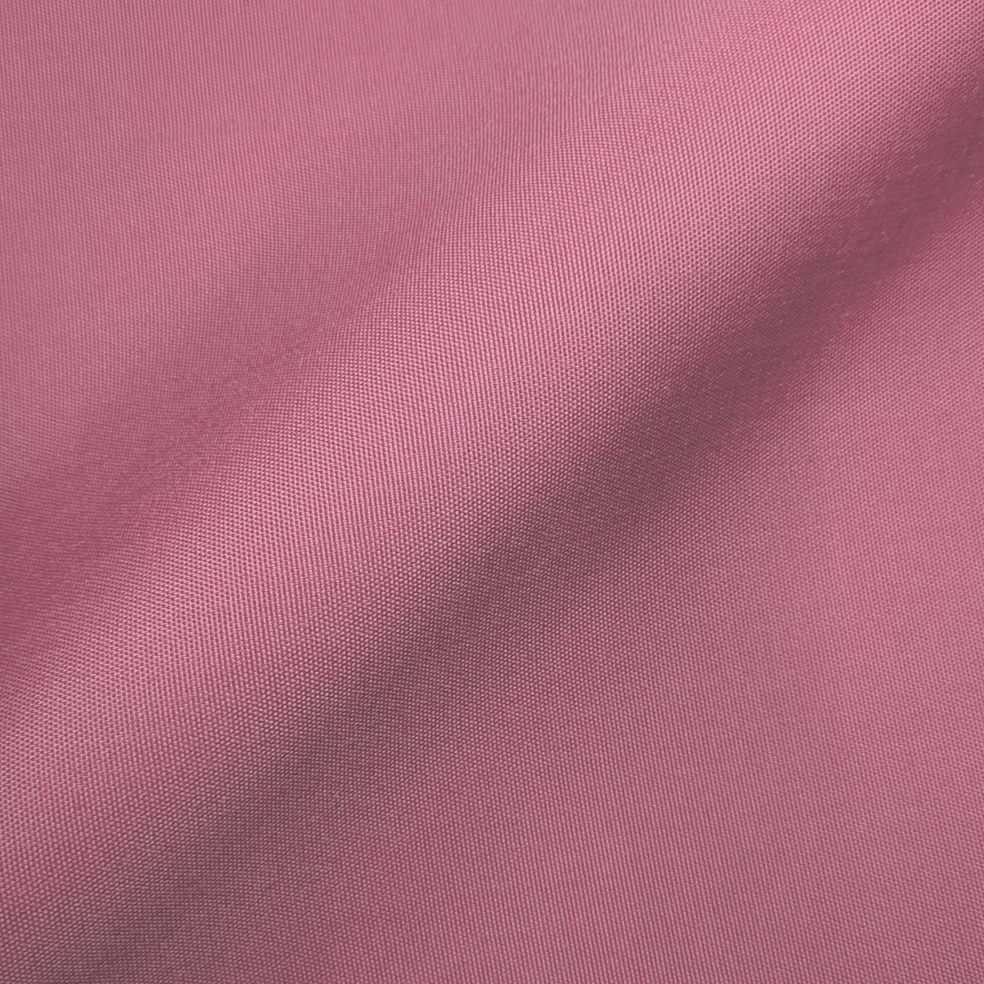 Tex-Rosa
