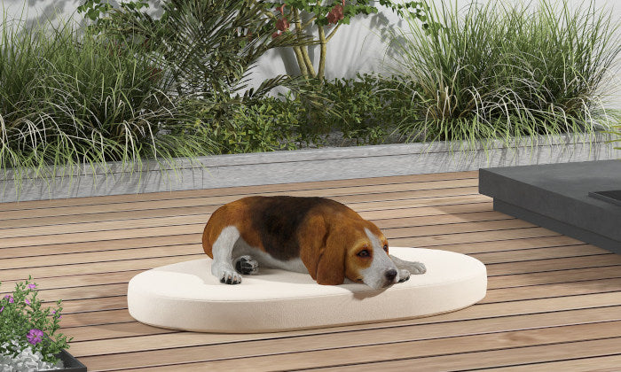Ovale und runde Hundebetten - Outdoor