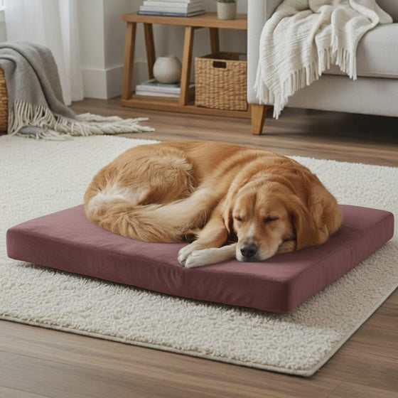 Indoor Hundebett velours